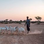 Drought in Ethiopia, Somalia and Kenya