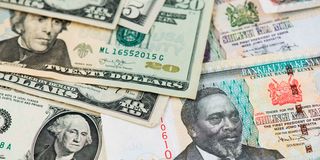 US dollar and Kenyan currency