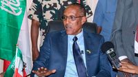 Somaliland's President Muse Bihi