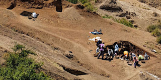 The Nyayanga site on the Homa Peninsula of Lake Victoria 