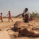 Drought in Hargududo, Ethiopia