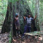 Two loggers in Gabon forest