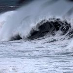 cyclone freddy