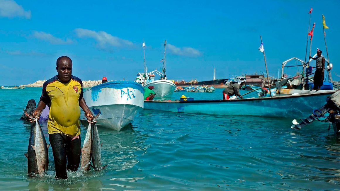 Somali vendors offload fish in Puntland