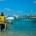 Somali vendors offload fish in Puntland