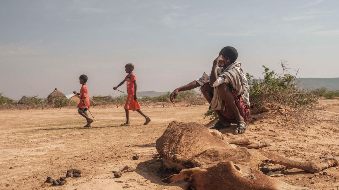 Drought in Hargududo, Ethiopia