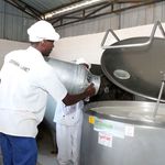 Workers at a milk processing plant.