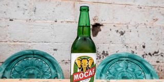 A bottle of a MOCAF beer.