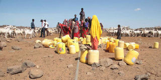People queue for water in northern Kenya