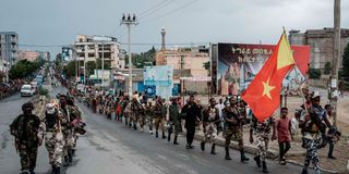 Soldiers of Tigray Defence Force walk in lines in Mekele