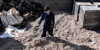 Egypt plastic waste