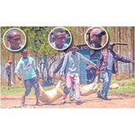 Kenyatta-owned Northlands City farm