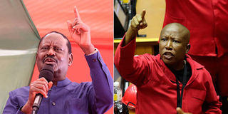 Julius Malema (left) and Kenya’s Raila Odinga