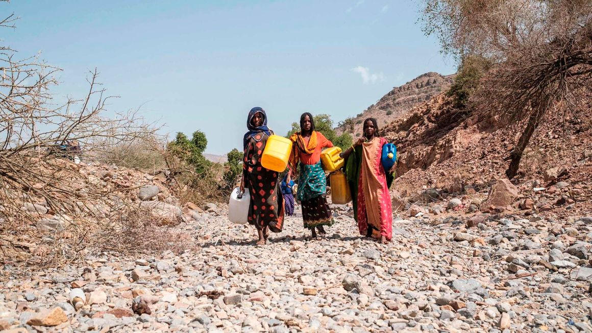 Women carrying jerrycans in search of water 