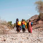 Women carrying jerrycans in search of water 