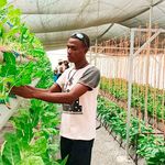 Hydroponic farm