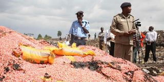 Counterfeit seeds