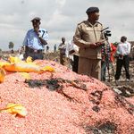 Counterfeit seeds