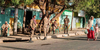 members of the Amhara Special Forces