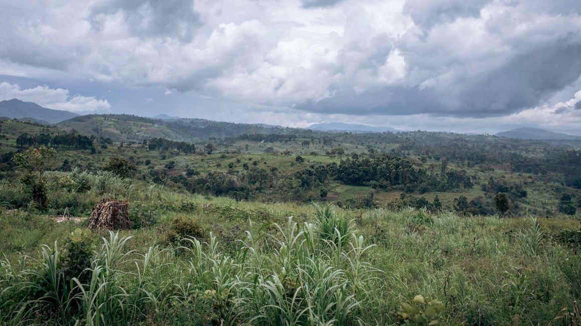 A view from an M23 military position