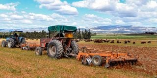 A farmer ploughs a wheat field in Tunisia 