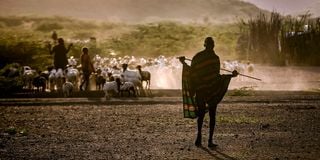 Turkana County arid land