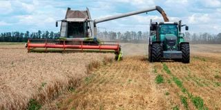 Wheat plantation in Ukraine