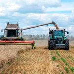 Wheat plantation in Ukraine