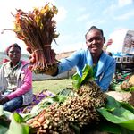 Miraa trade in Uganda