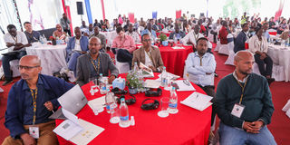 Participants from Horn of Africa meet in Kenya’s Naivasha town