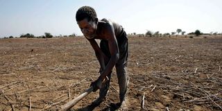 malawian farmer