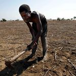 malawian farmer