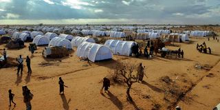 dadaab camp