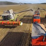 Grain exports from russia