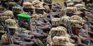 updf army
