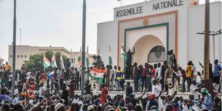 Niger Coup