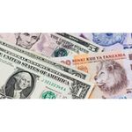 tshdollar