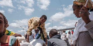 tigray
