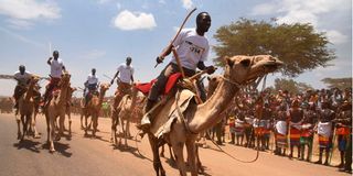 samburu