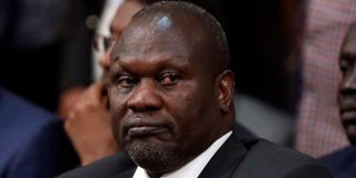 South Sudan’s First Vice President Riek Machar.