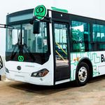 basigoa1