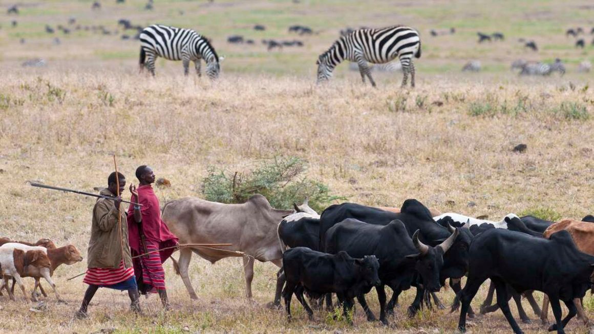 Maasai