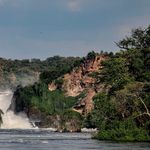 murchisonpic