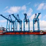 DNCOASTKPACRANES0708B