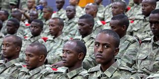 soldiers