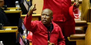  Economic Freedom Fighters party leader Julius Malema 