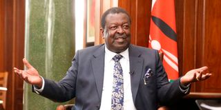 Musalia Mudavadi