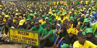 Tanzania's CCM Party supporters