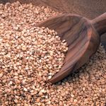 The conflict within Sudan may require calming the ongoing sesame "wars" with Ethiopia