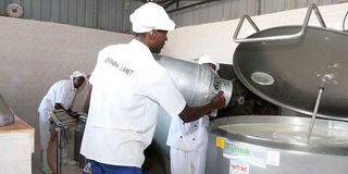 Workers at a milk processing plant.